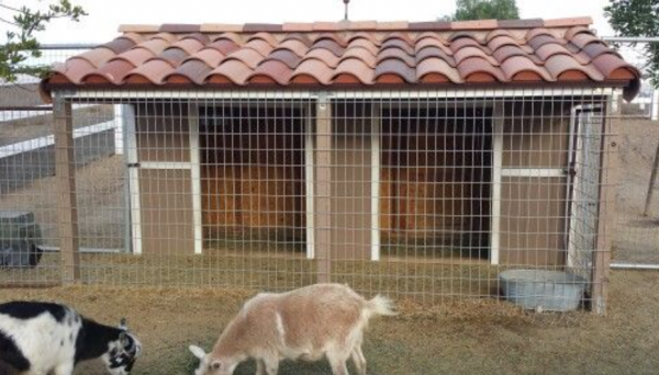 Desain Kandang Kambing dengan Atap Genteng